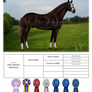 RDS Brisk Brigand