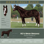 Finest RD's Brisk Brigand by Jullelin