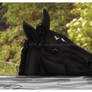 Peeking Over