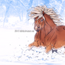 Ponies and Winter
