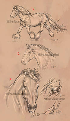 Sketches in a Art Block - Sketch SALE!