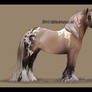 Gypsy Vanner Auction #4 ENDED