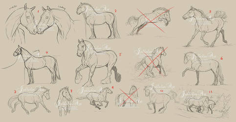 Horse Practice - Sketches for SALE!