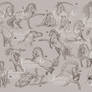 Horse Sketches - FOR SALE!
