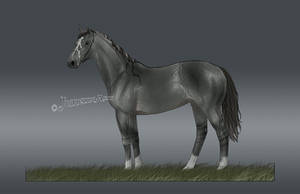 Thoroughbred Design for Ziporia-horse