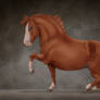 Munchkin Horse Auction #2 ended