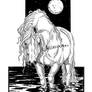 The Midnight Horse