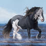 In the Shallow Waves