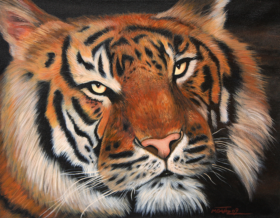 Sumatran tiger - Acrylics