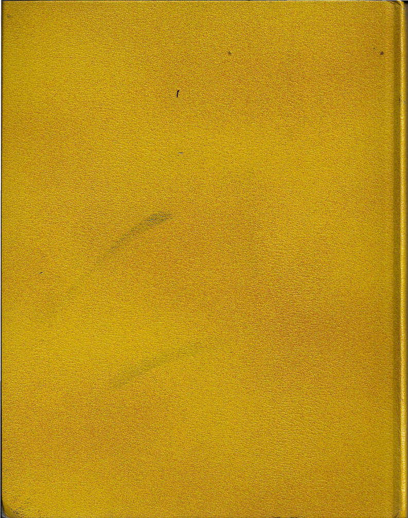 Golden Math Book Texture Rough Gold Book Texture by AarondyStox on DeviantArt