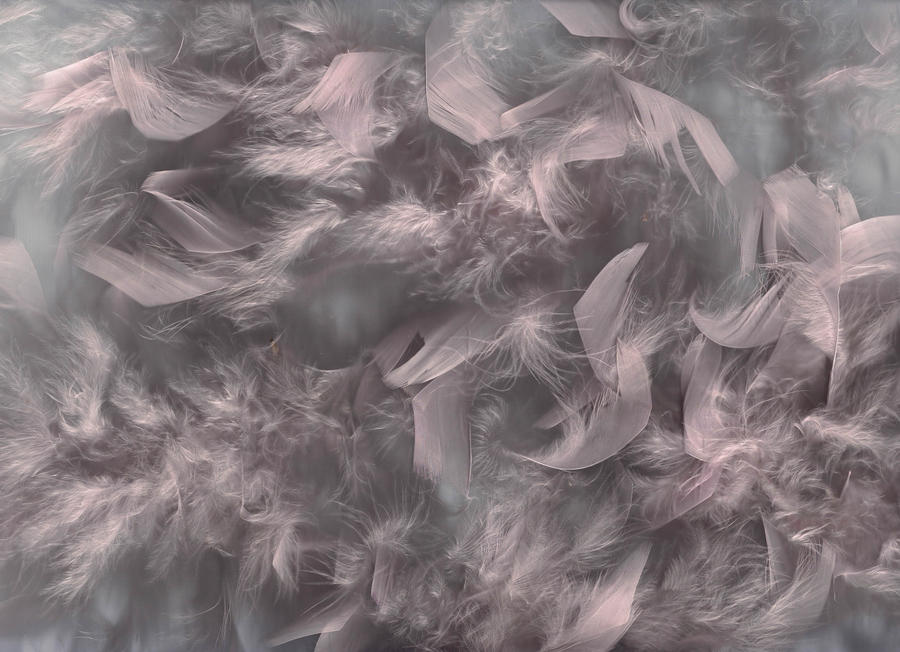 Feathered Texture