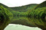 Just nature by Wetterlage