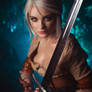 Cirilla (The Witcher 3) #3