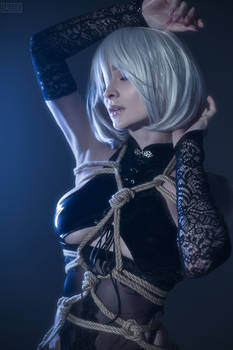 2B (Nier Automata / Shibari) #1