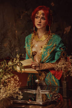 Triss Merigold (The Witcher) #15