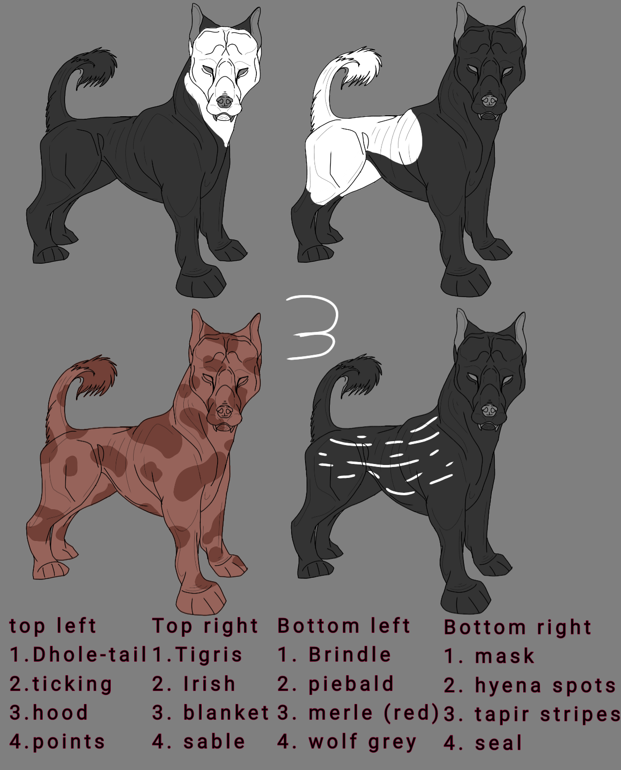 Fur Patterns Labeled Old fur pattern types 3 by doggek1 on DeviantArt