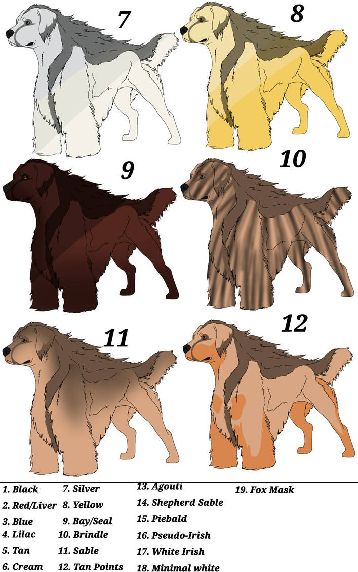 Ruby Ridge Dog Colorized Rubian Flag dog colors P2 by doggek1 on DeviantArt