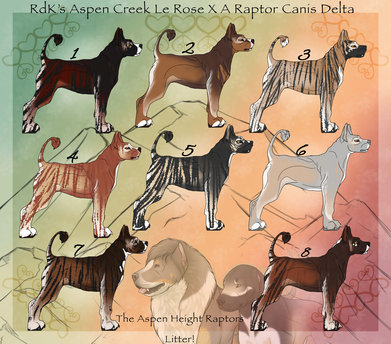 Dog Development Raptor NLD Litter H -The Aspen Height Raptor Litter! by doggek1 on DeviantArt