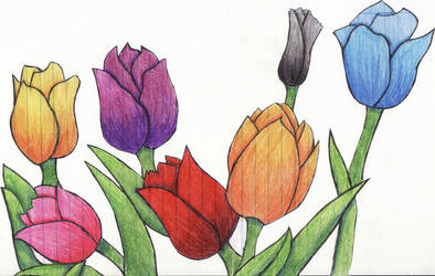 Tulips