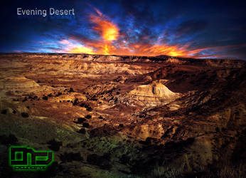 Evening Desert