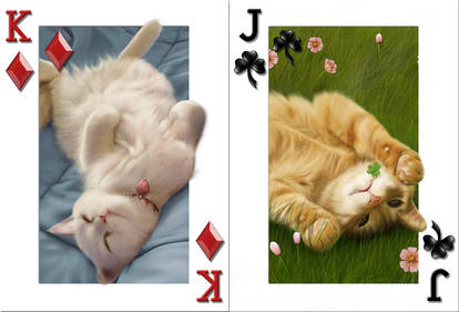 Cats Cards