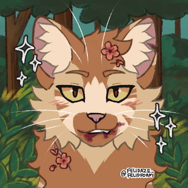 Warrior Cat Maker｜Picrew