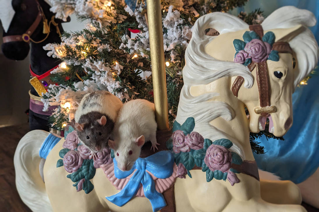 Carousel Rats by LorDefiance on DeviantArt