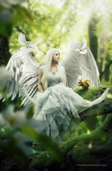 Angel of Forest