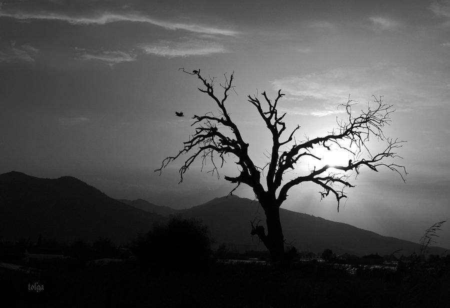 Insane Colorless Image colorless death by cachealalumiere on DeviantArt
