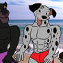 Animal guys