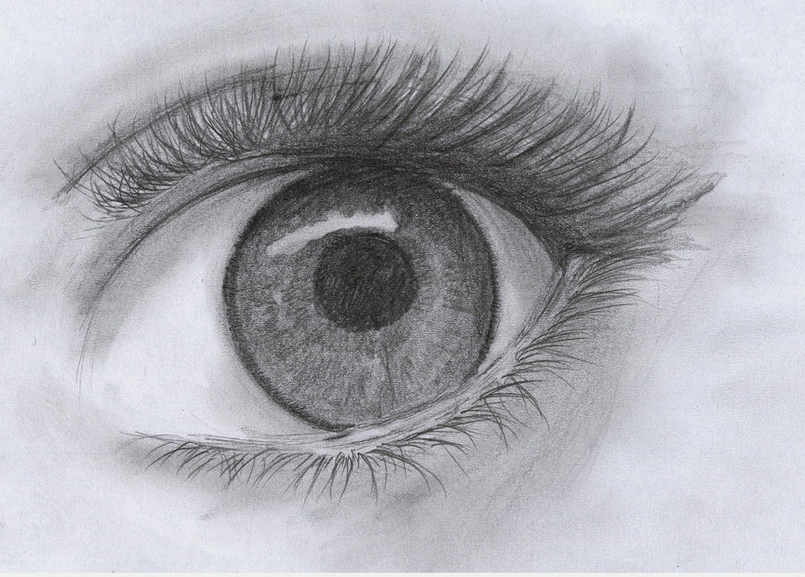 eye