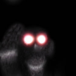 Mothman Photograph/ FAKE