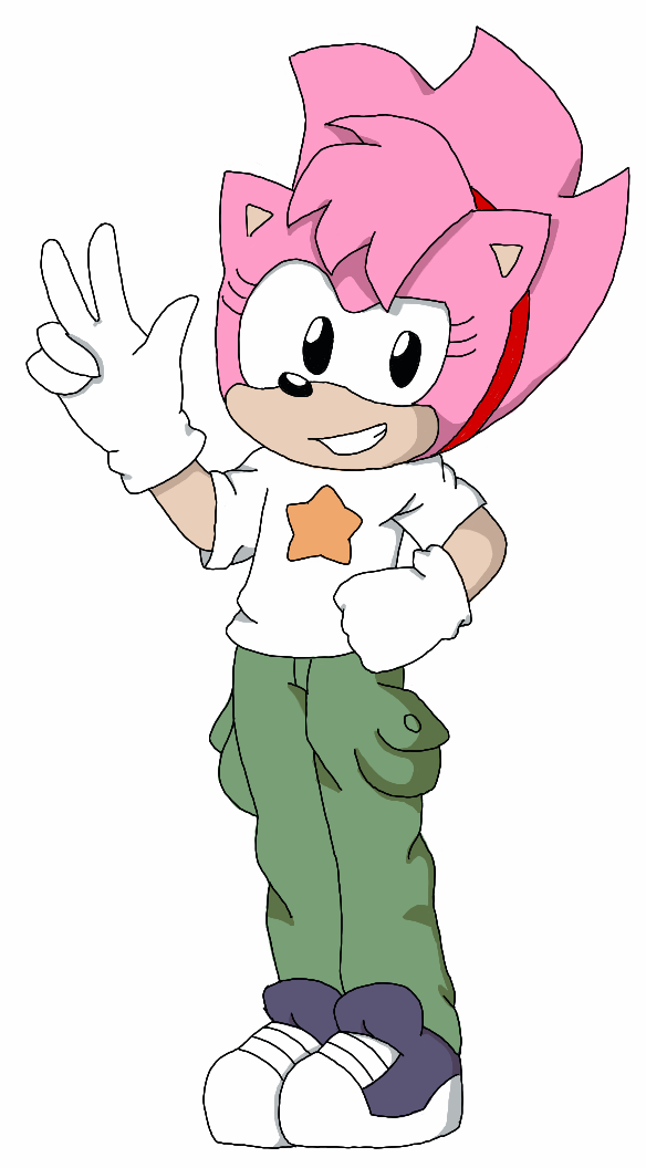 Freedom Fighter, Amy Rose