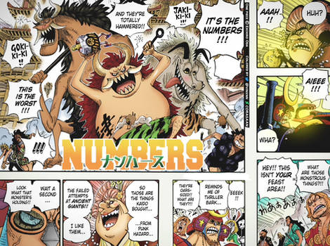 NUMBERS ONE PIECE 989