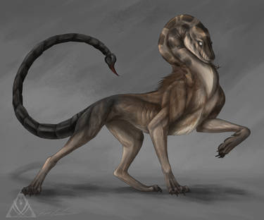 Dog-snake-scorpio