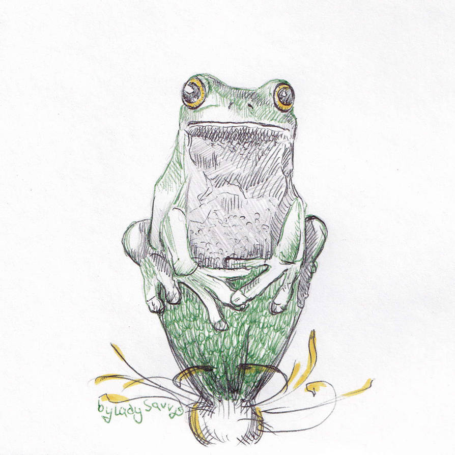 Frog by XLadyStuartX on DeviantArt
