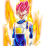 Super Saiyan God Vegeta #1 [Aura]