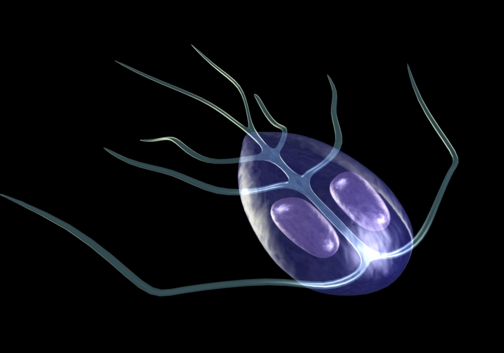 Giardia Lamblia