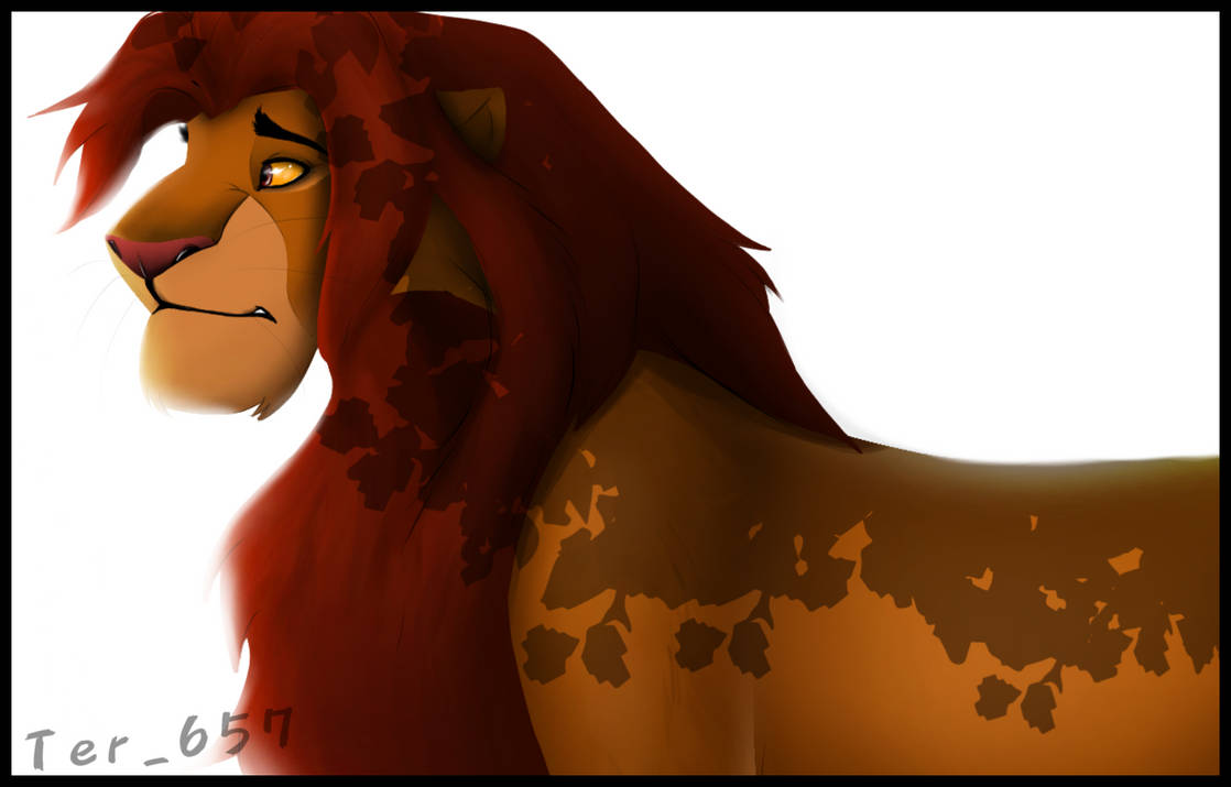 Simba in... by Feera-657 on DeviantArt