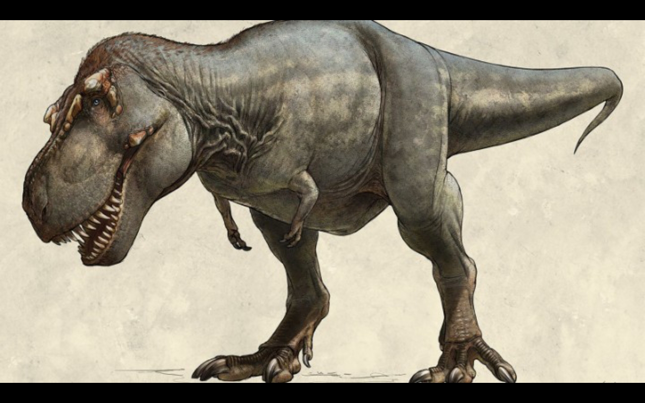 Mary Shell Rex Female rex Mary from cretaceous World by jasonperla on DeviantArt