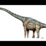 Bella female brachiosaurus FROM cretaceous World 