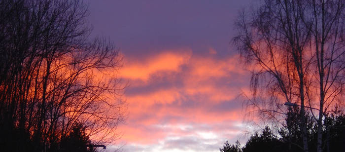 Red evening in Molkom