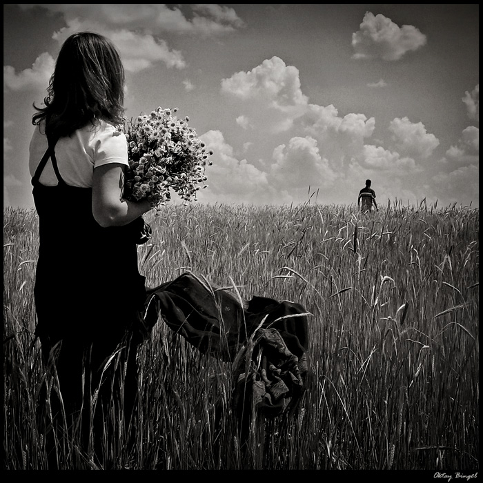 film elveda papatyam by oktaybingol