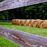 Haybale in autumn