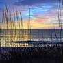 Water Scene in North Carolina