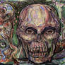 My Bony Friends