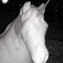 Snow Sculpture no.2