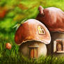 Mushroom Fairy Tale