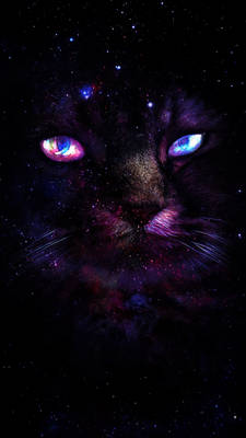 Cat Galaxy