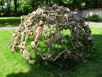 Weird Skeleton Installation 1